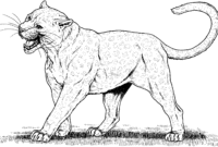 leopard coloring pages leopard coloring pages