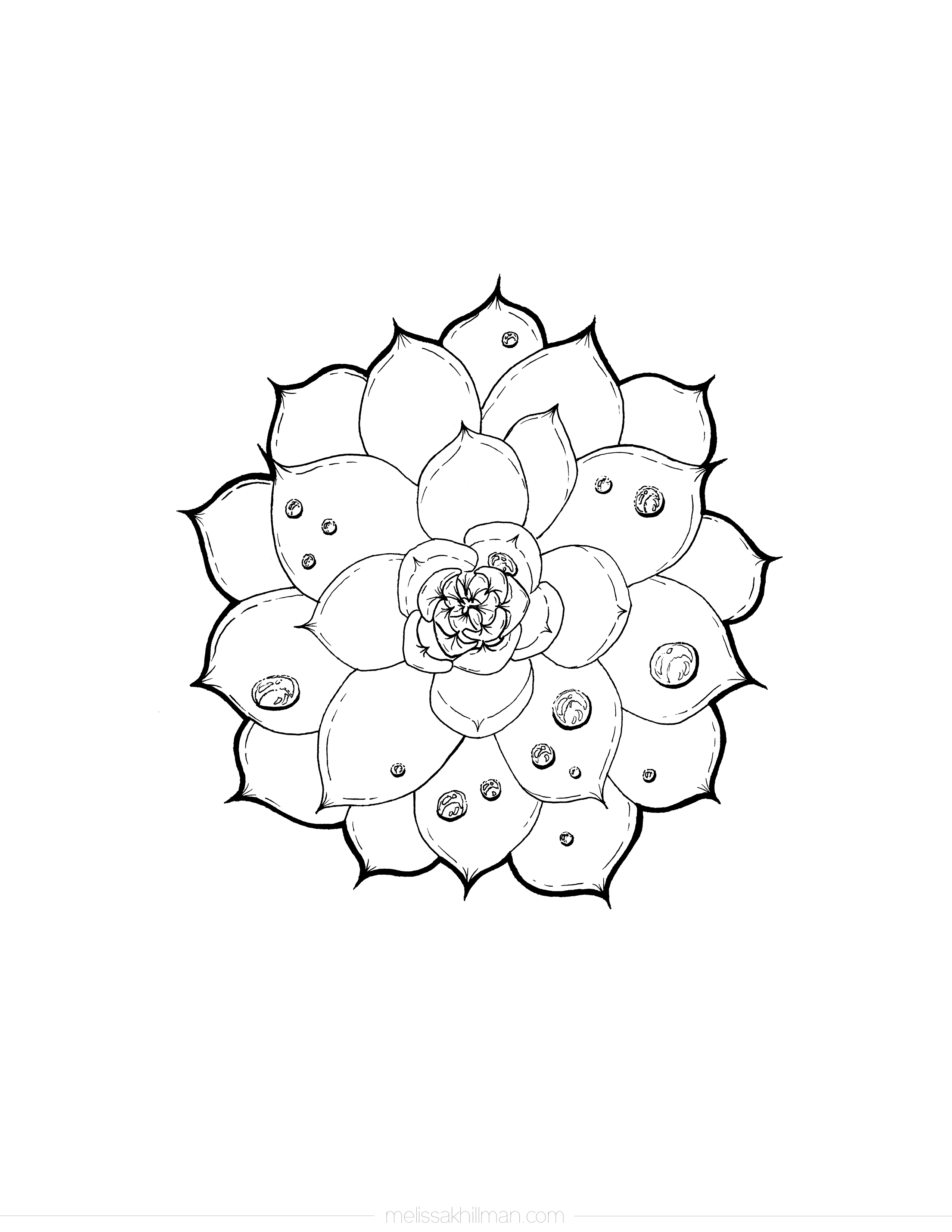“Succulent” Coloring Page