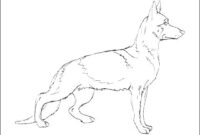 black lab coloring page