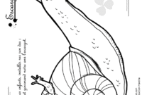 hugo l escargot ee hugo l escargot ee