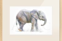 view dessin imprimer elephant background