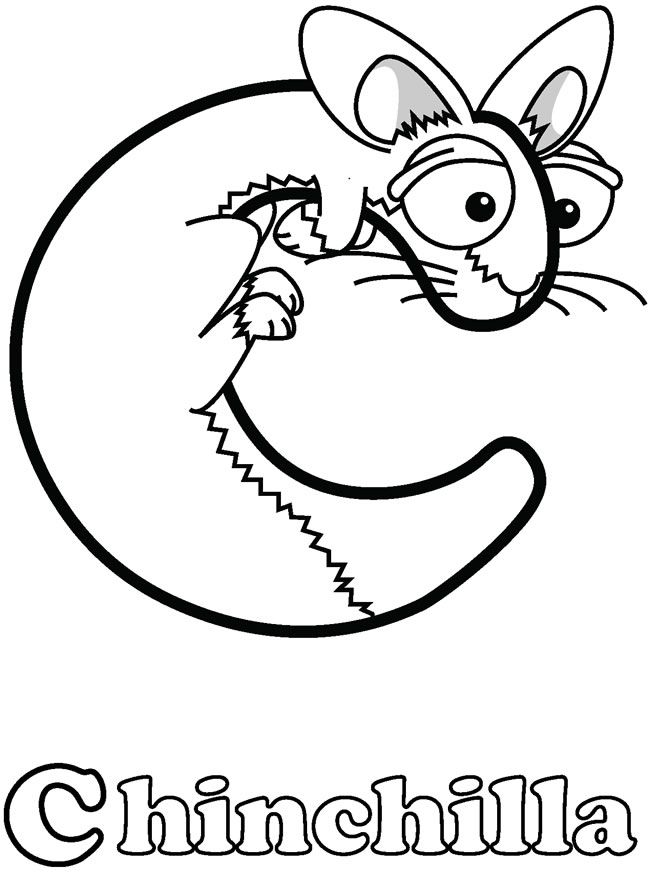 Chinchilla Coloring Page at GetColorings.com | Free printable colorings