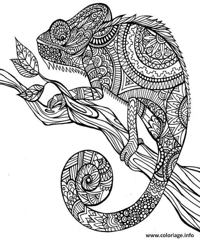 Coloriage Anti Stress Animaux Jungle Dessin À Imprimer pour Coloriage