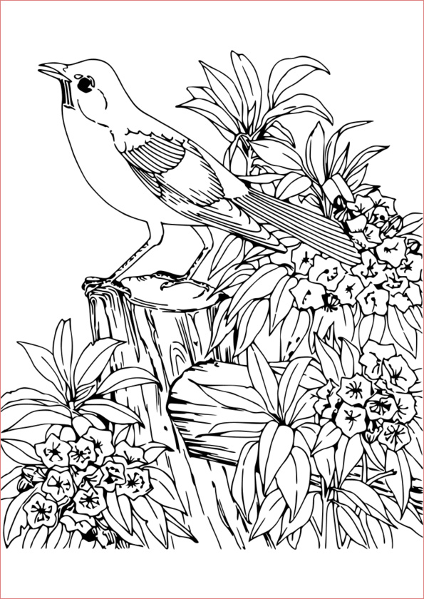 14 Précieux Coloriage De Animaux Stock - COLORIAGE