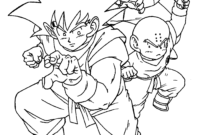 livre coloriage dragon ball z