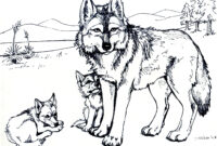 get dessin a imprimer loup pics get dessin a imprimer loup pics