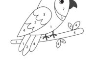 application coloriage par numero