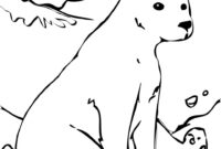 polar animals coloring pages