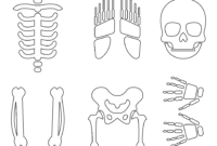 printable skeleton pattern printable skeleton pattern