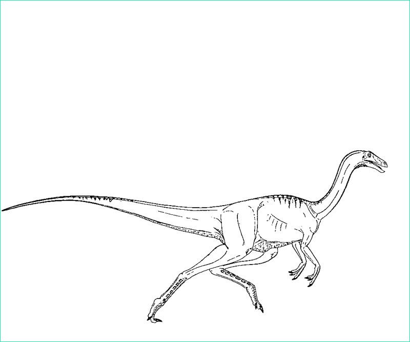 Dessin Jurassic World 2 Nouveau Images Dessin à Imprimer Dessin