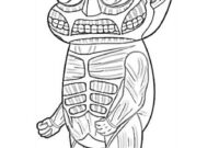 colossal titan coloring pages colossal titan coloring pages