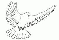 dove coloring pages