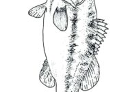 largemouth bass coloring page largemouth bass coloring page