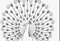 peacock feather coloring page peacock feather coloring page