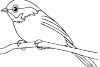 coloring page bird coloring page bird
