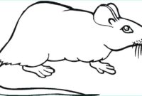 dessin a colorier facile rat