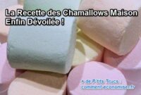 recette chamallow maison recette chamallow maison