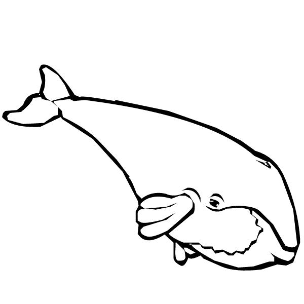 Whale coloring - Free Animal coloring pages sheets Whale