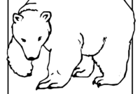 arctic animals coloring pages free arctic animals coloring pages free
