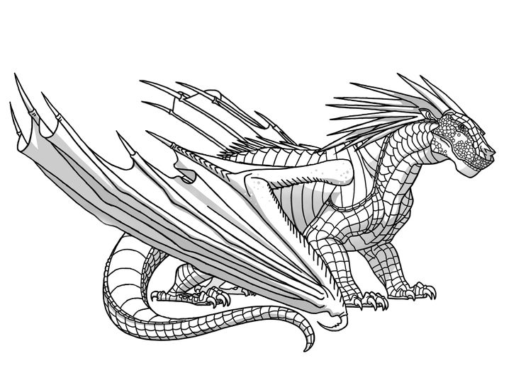 Wings of Fire Ideas! - Hybrid Appearances | Wings of fire dragons