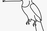tucan coloring page