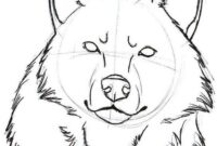 dessin tete loup dessin tete loup