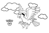 pidgeot coloring page pidgeot coloring page