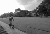 49 harley davidson street 500 owners manual gif