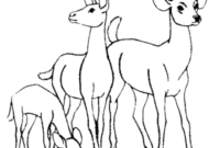 deer coloring pages pdf