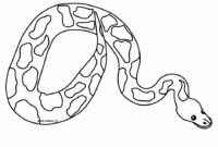 coloring pages snakes