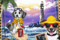 view urkunde jugendweihe vorlage kostenlos gif