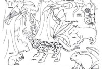 amazon rainforest coloring pages
