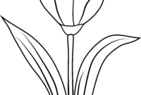 tulip coloring page tulip coloring page