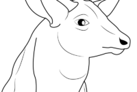 buck deer coloring pages buck deer coloring pages