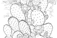 preschool cactus coloring pages printable preschool cactus coloring pages printable