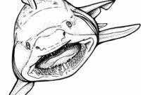 free shark coloring page