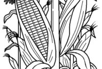 corn field coloring page