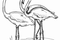 printable cute flamingo coloring pages printable cute flamingo coloring pages