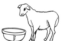 free sheep coloring pages
