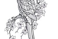 coloriage mandala oiseau