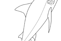 bull shark coloring pages bull shark coloring pages