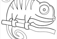 chameleon coloring page chameleon coloring page