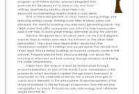 grade 6 reading comprehension pdf grade 6 reading comprehension pdf