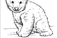 chicago cubs coloring pages