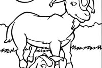 dessin de chevre dessin de chevre