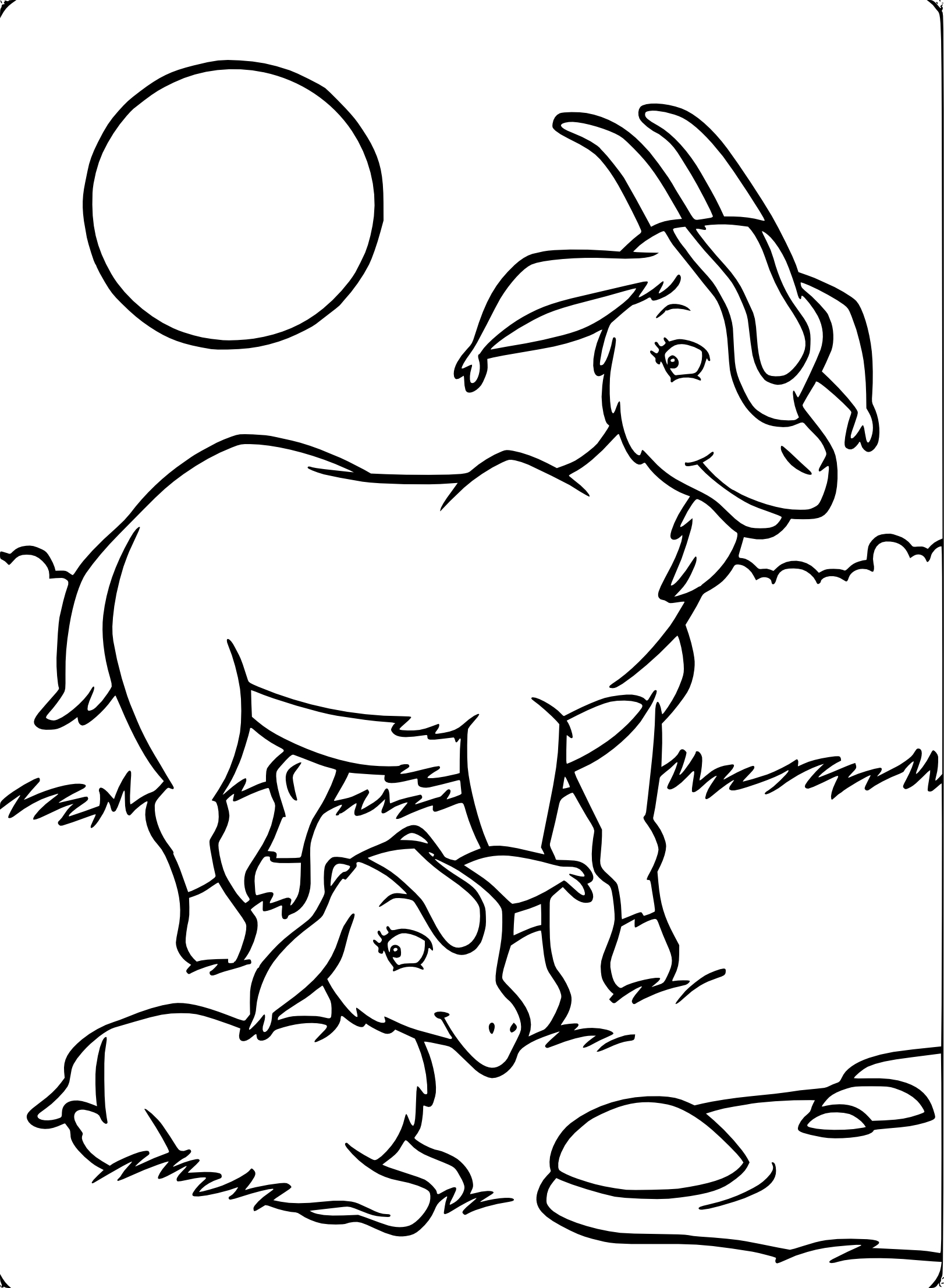 Coloriage chèvre chevreau à imprimer