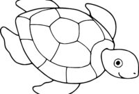 coloriage animaux de la mer a imprimer