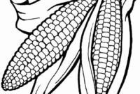 coloring page corn coloring page corn