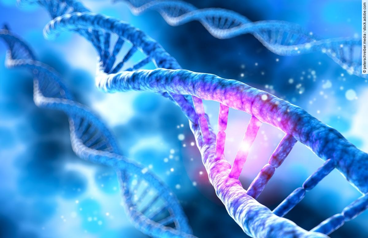 CED: Genetischer Defekt als Einfallstor für bakterielle Entzündungen