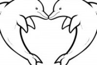 dessin dauphin coeur